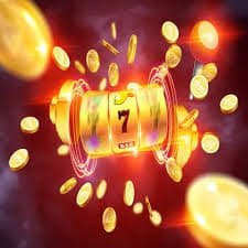 paidbet